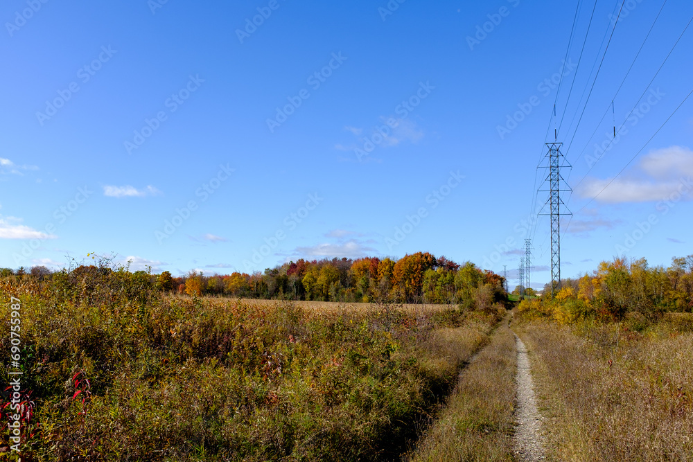 autumn road with powerlines