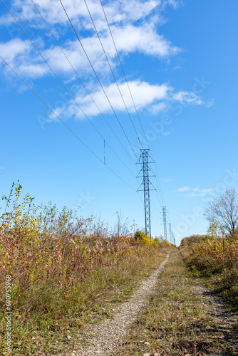 lane with powerlines