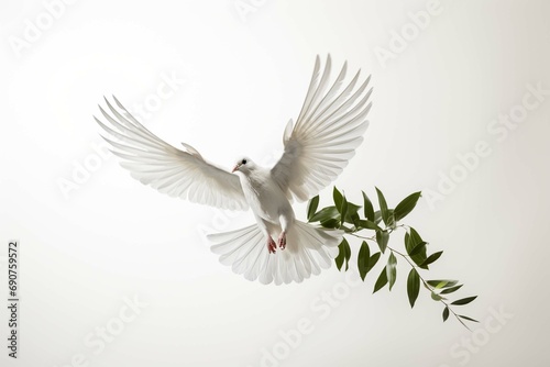 White dove in flight on a white background with an olive branch