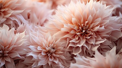Wandcirkels Pantone 2024 Peach Fuzz Bloemenpatroon in zachte perziktinten  © Fleuronica