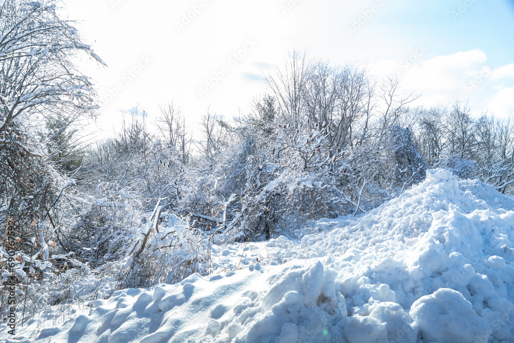 Obraz premium Morningside Park in snowy winter, picturesque wonderland, for visitors to enjoy. Trees blanketed in a layer of pristine white snow. Park used for healthy activities, snowshoeing, skiing.