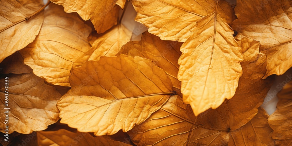 A detailed view of a bunch of leaves. Perfect for nature enthusiasts or botanical presentations