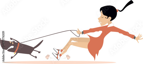 Young woman walking a disobedient dog. 
Dog walking, Young woman tries to stop an angry dog. Isolated on white background
