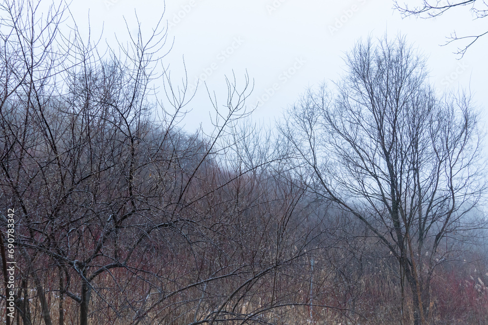Mysterious and eerie autumn forest enveloped in dense, dark fog, with trees and mountains shrouded in an unsettling veil of mist and smoke. Mysterious and eerie autumn forest enveloped in dense, dark fog, with trees and mountains shrouded in an unsettling veil of mist and smoke.