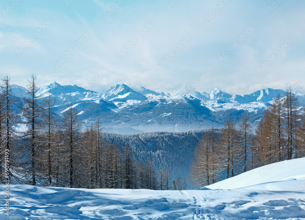 Winter forest near Dachstein mountain massif