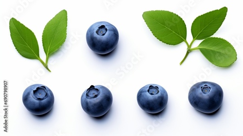Blueberry isolated. Blueberries top view. Blueberry with leaves flat lay on white background with clipping path. photo