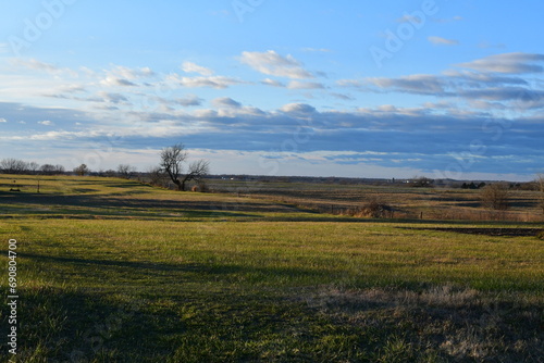 Fototapeta Naklejka Na Ścianę i Meble -  Field