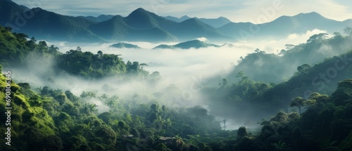 Foggy landscape in the jungle. Fog and cloud mountain tropic valley landscape