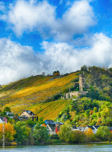 Furstenberg Castle Rheindiebach on the Rhine River .