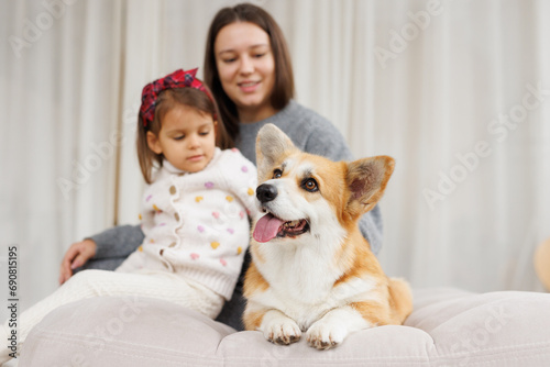 Portrait of adorable, happy smiling dog of the corgi breed. Family playing with their favorite pet. Beloved pet in the beautiful home.