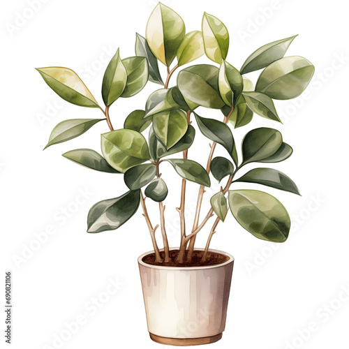 houseplant element trees leaves.designed for digital use decoration, website, page and general digital work 