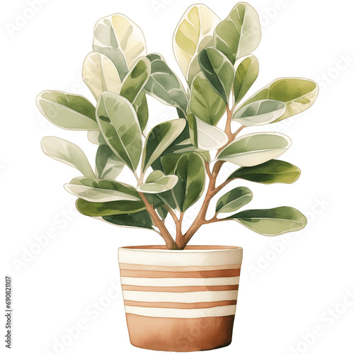 houseplant element trees leaves.designed for digital use decoration, website, page and general digital work 