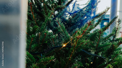 christmas tree lights