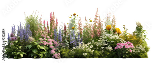 plants flower garden isolated on transparent background