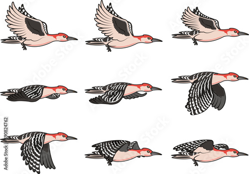 Flying Woodpecker Bird Animation Sprite