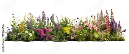 Herbaceous lush and colorful border of herbaceous plants, creating a vibrant isolated on transparent background © kharom