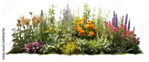 Herbaceous lush and colorful of herbaceous plants vibrant isolated on transparent background