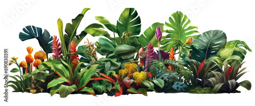 tropical plants isolated on transparent background