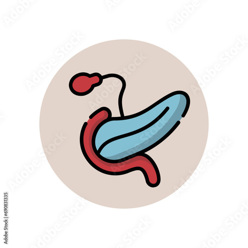 illustration of medical set icons such as body anatomy photo