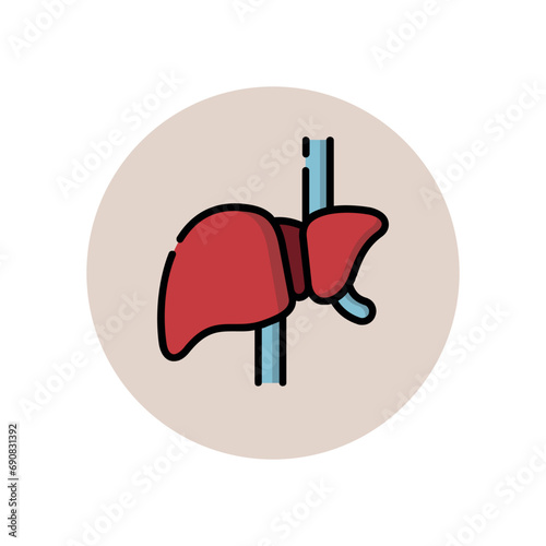 illustration of medical set icons such as body anatomy