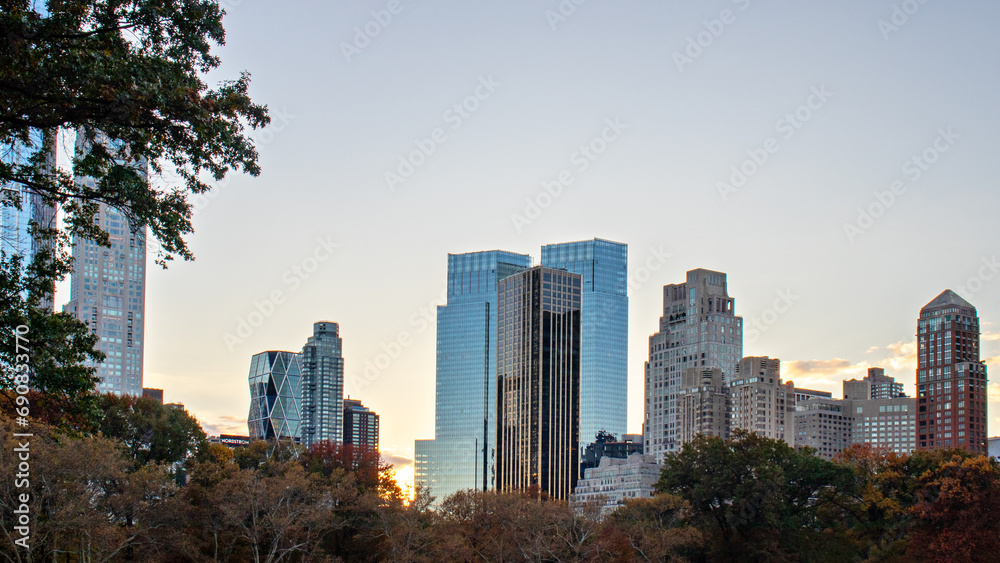 city skyline behind the autumn trees of central park city skyline behind the autumn trees of central park