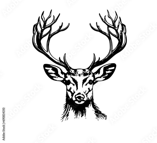 Deer hand drawn illustration graphic asset