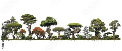 Wallpaper Mural Jungle trees shapes cutout isolated on transparent backgrounds Torontodigital.ca