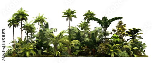 Jungle rain forest trees shapes cutout isolated on transparent backgrounds