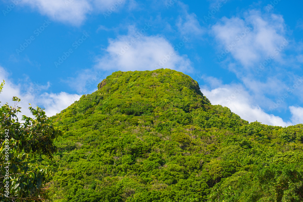 Mount Scenery in a sunny day from historic town center of Windwardside in Saba, Caribbean Netherlands. Mount Scenery is a dormant volcano still active today. 
