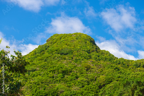 Mount Scenery in a sunny day from historic town center of Windwardside in Saba, Caribbean Netherlands. Mount Scenery is a dormant volcano still active today. 