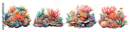 watercolor coral reef photo