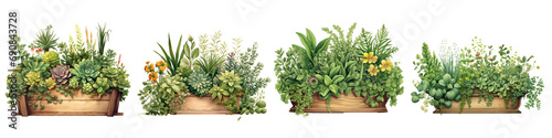 lush green plants and small flowers, artistically arranged in a charming wooden planter, vintage style isolated on transparent background