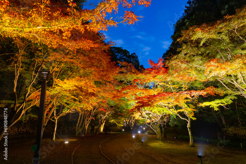 偕楽園　紅葉ロード