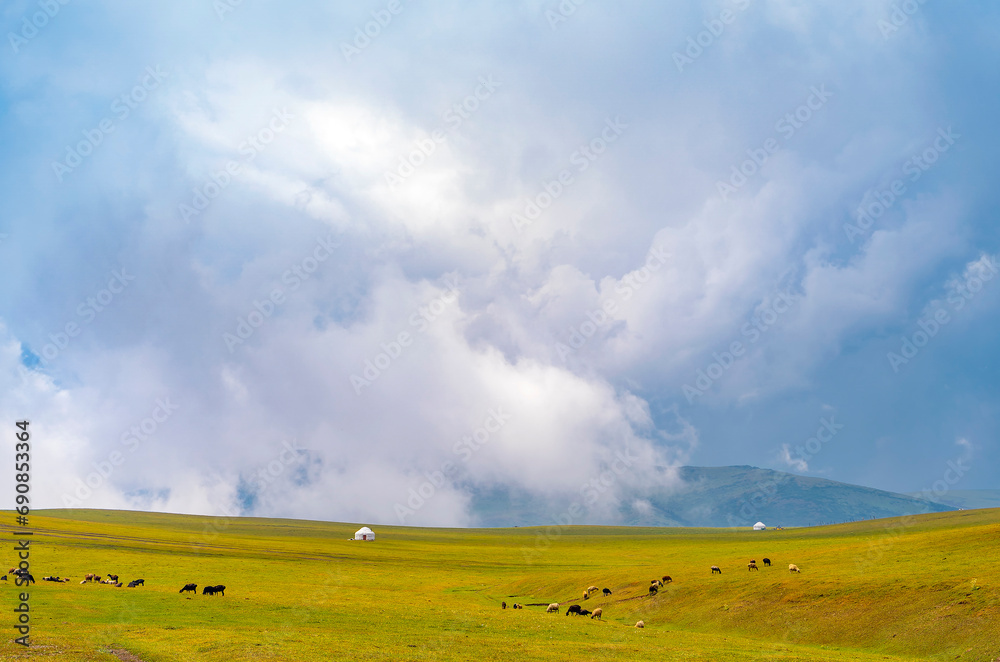 Beautiful nature of Kazakhstan on the Assy plateau. White yurt with grazing animals nearby under the rain clouds.