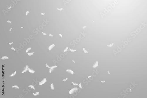 Abstract White Bird Feathers Floating in The Sky. Freedom, Feather Softness, Falling White Feathers.	
