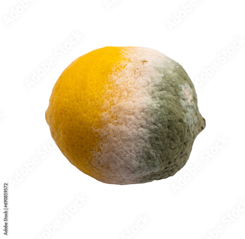 lemon with fungus on it on a transparent background 