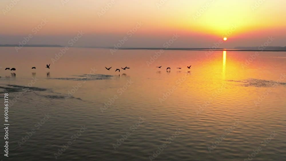 Scenery of Poyang Lake in Jiangxi, China, a paradise for migratory birds Scenery of Poyang Lake in Jiangxi, China, a paradise for migratory birds