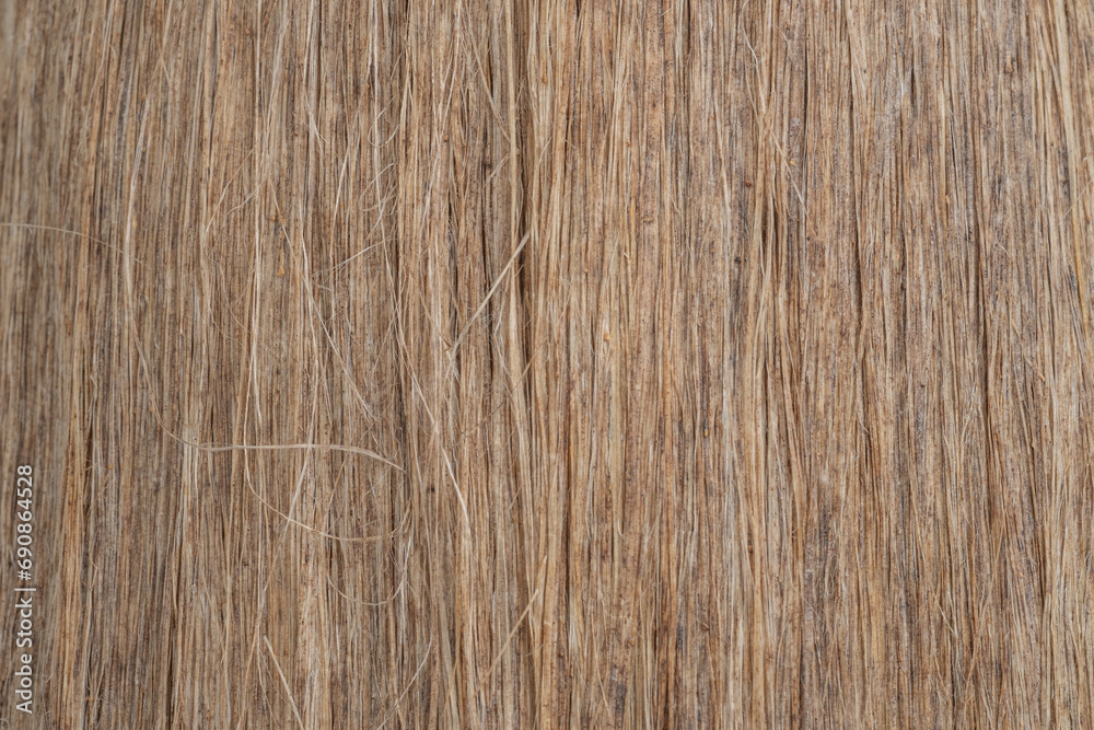 texture background texture background