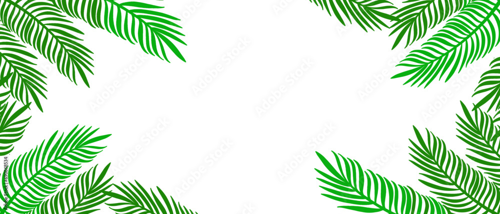 Palm leaf illustration vector with transparent background 