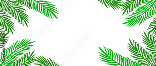 Palm leaf illustration vector with transparent background 