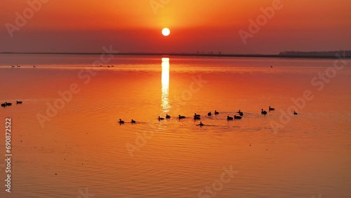 Scenery of Poyang Lake in Jiangxi, China, a paradise for migratory birds photo