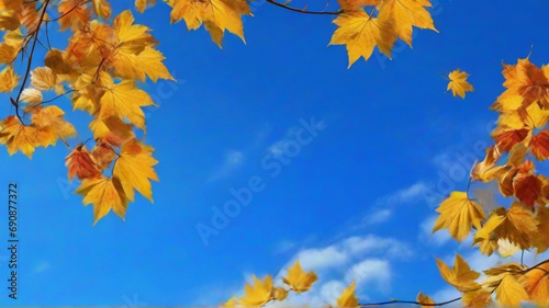 autumn leaves on a blue sky background