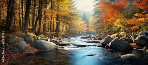Autumn river in the forest.