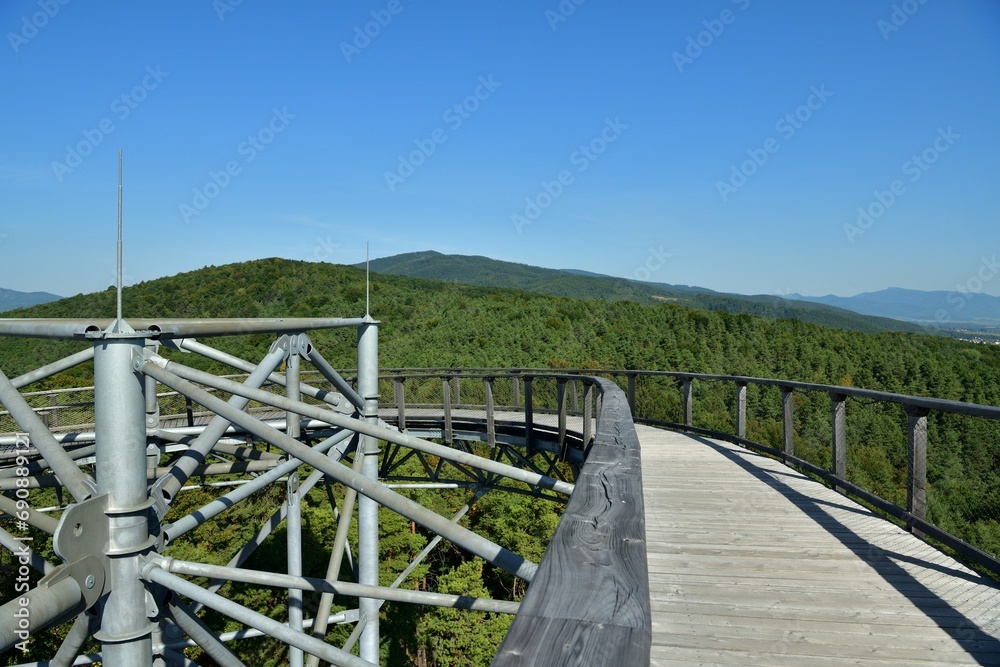 View of the landscape from the hiking trail above the trees