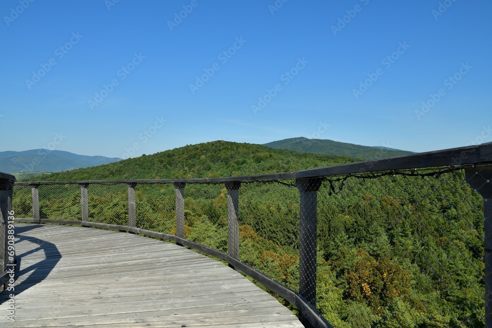 View of the landscape from the hiking trail above the trees