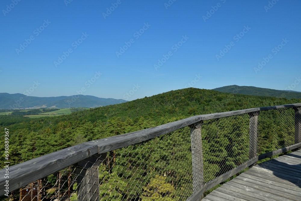 Tourist attraction observation trail above the treetops