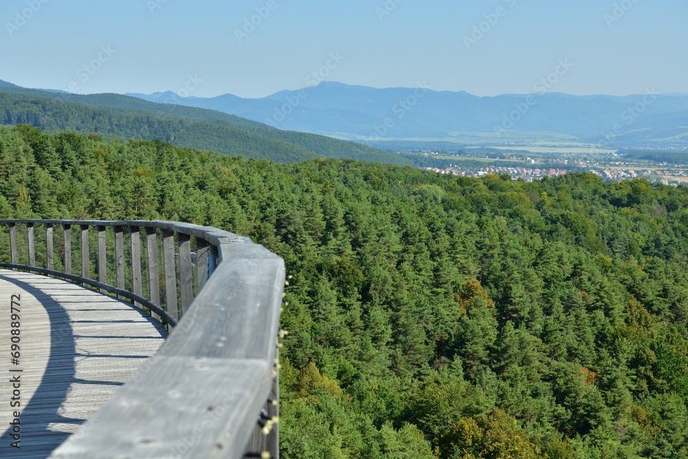 View of the landscape from the hiking trail above the trees