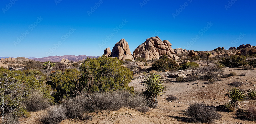 arid geological landscape of Joshua Tree national park