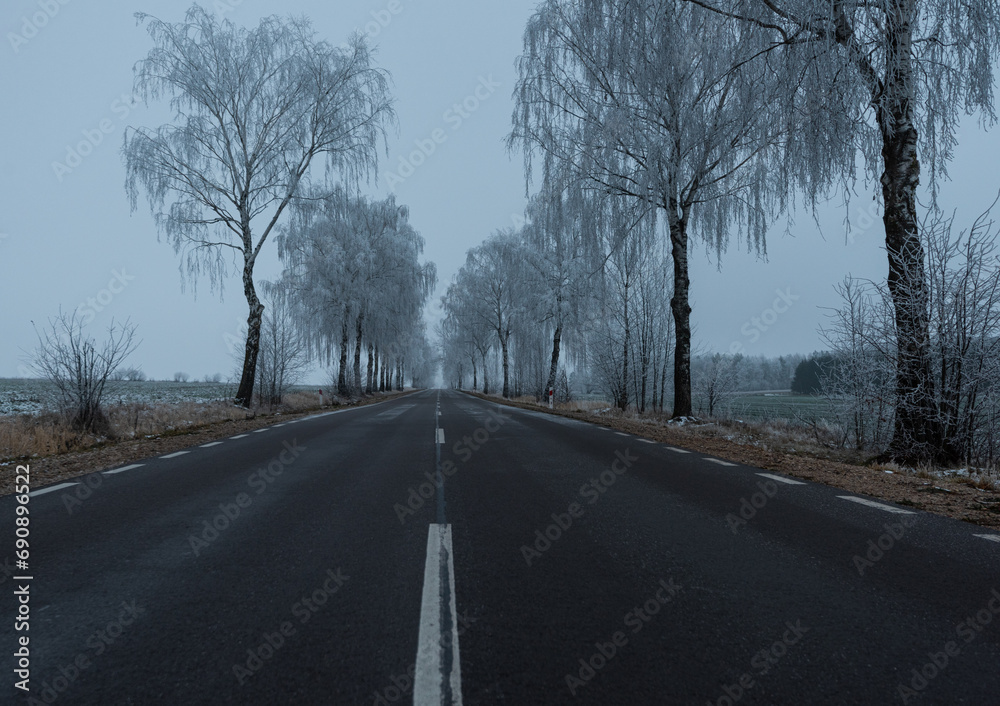 Fototapeta premium road in winter