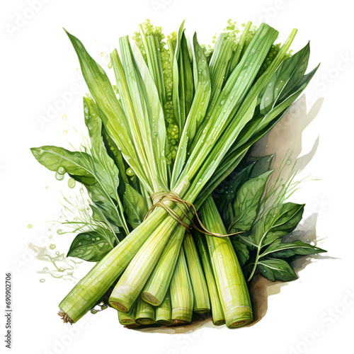 Fresh Lemongrass : Watercolor-Styled Clip Art Isolated on Transparent Background